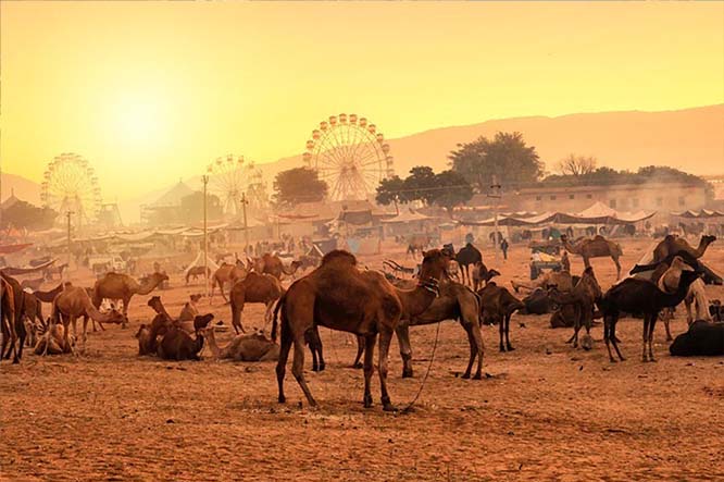 Spiritual Journey-Pushkar