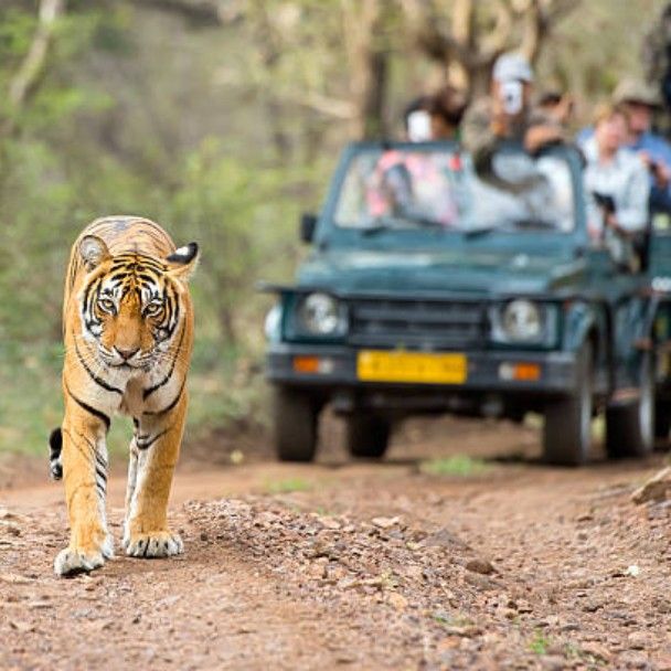 Weekend Trip -Jim Corbett