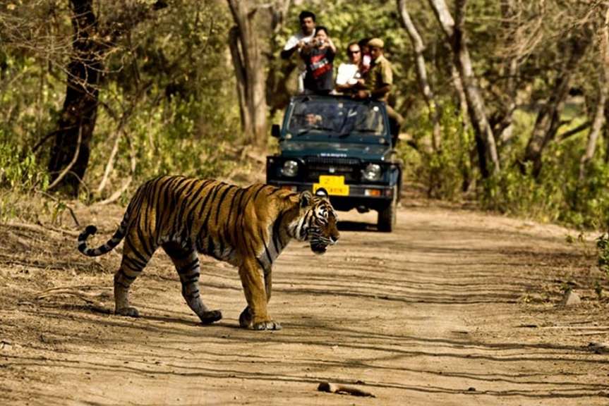 Weekend Trip - Jim Corbett